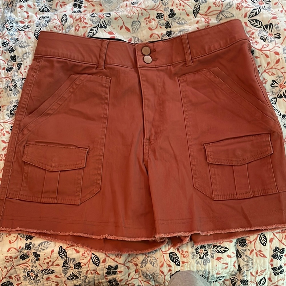 Burnt orange Democracy cargo short! Sz 10 💗